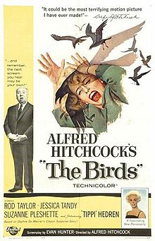 Film Review: The Birds (1963)