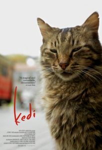 Film Review: Kedi (2016)